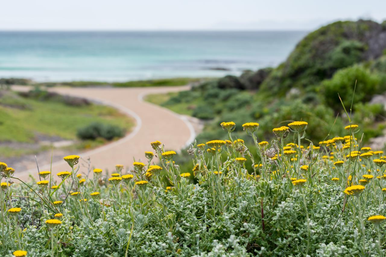 Romans Villa Gansbaai Exteriér fotografie