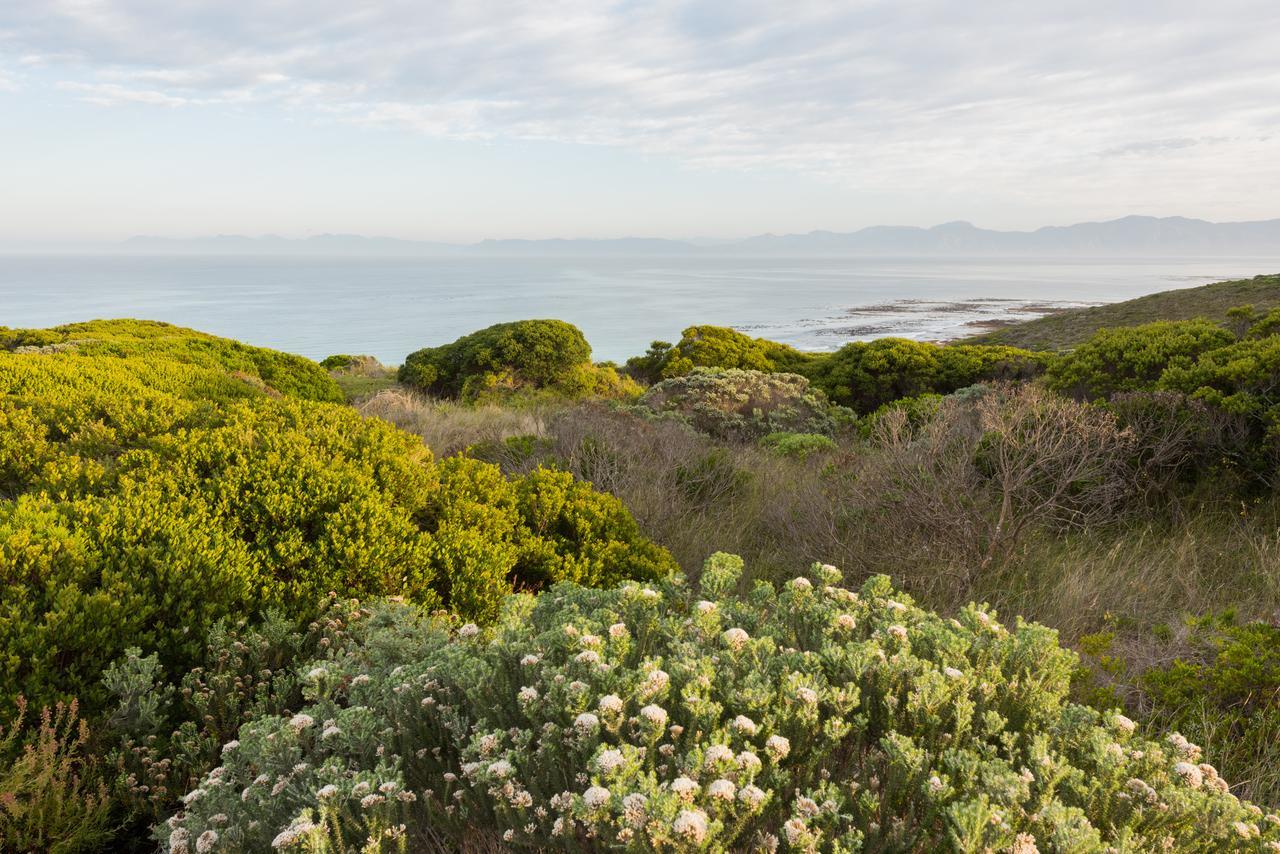 Romans Villa Gansbaai Exteriér fotografie
